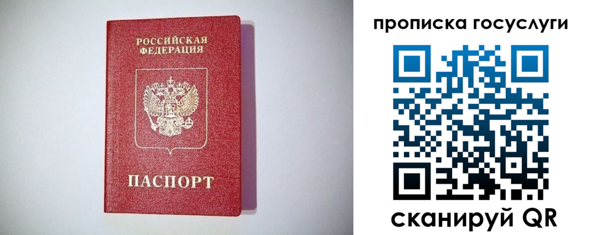 временная регистрация госуслуги в Тамбовской области